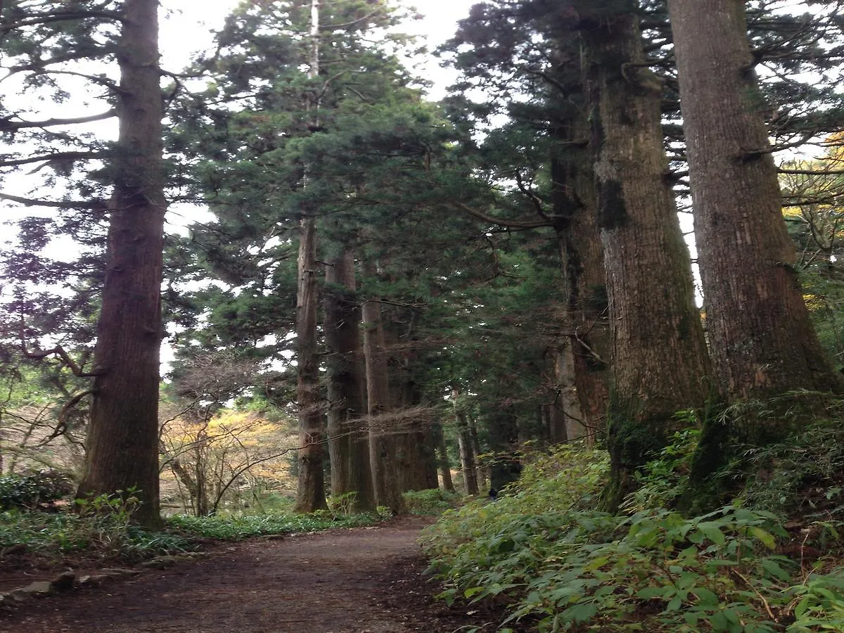 Fukushimakan Hakone